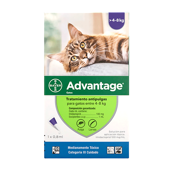 Advantage gato entre 4-8  Kl