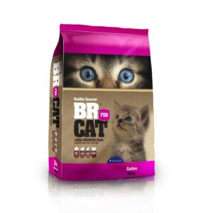 BR for Cat gatitos